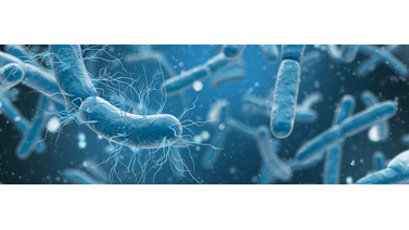 Bakterie w wodzie ze studni