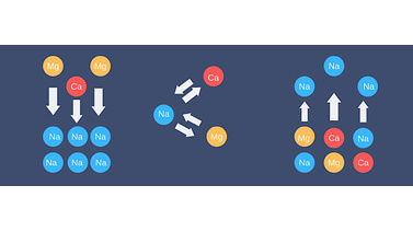 Wymiana jonowa w zmiękczaczach wody